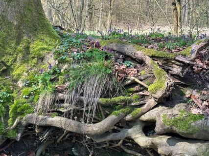 Foto von Norbert Herbig entlang der Tour