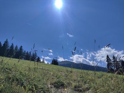 Fotografija s spletne strani Lena Eder na poti