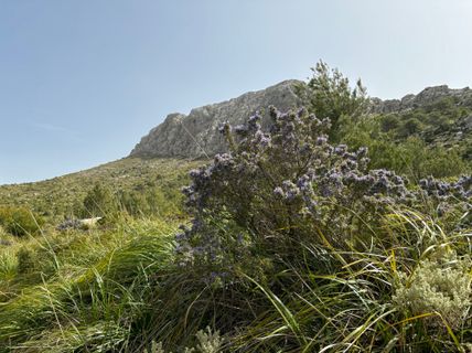 Photo de Robert Kremlicka le long du parcours
