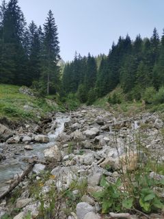 Foto von joergen entlang der Tour