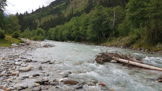 Fotografija s spletne strani Tor Fich na poti
