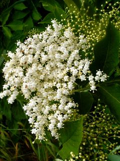 Fotografia z Kellner Heidi na trase