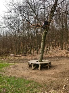 Zdjęcie z Kellner Heidi wzdłuż trasy