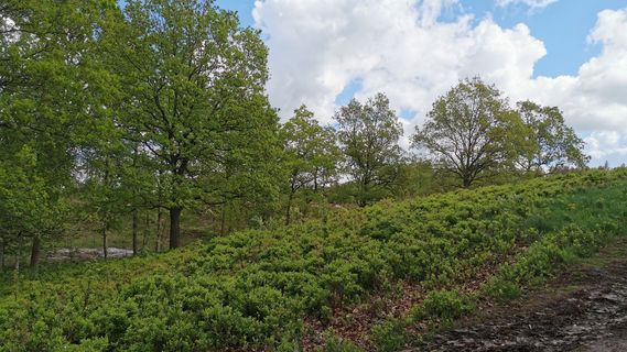 Foto von Bernd Schmitt entlang der Tour