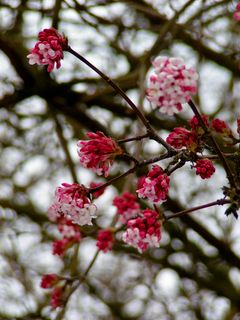 Fotografia z Kellner Heidi na trase