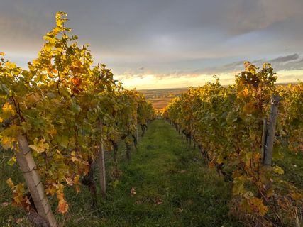 Foto van Norbert Herbig langs de tour