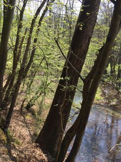 Fotografia z Allan Erjavec na trase