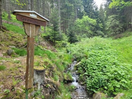 Fotografija s spletne strani mmecki na poti