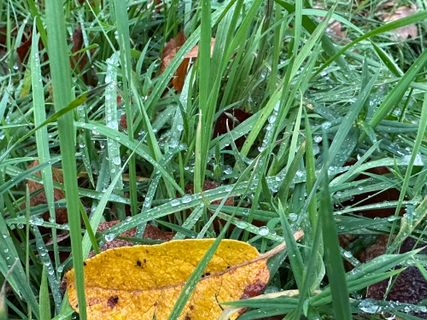 Fotografia z Norbert Herbig na trase