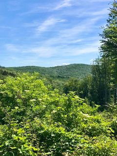 Fotografia z Kellner Heidi na trase