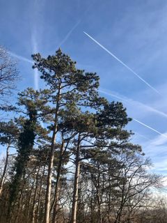 Foto von Kellner Heidi entlang der Tour