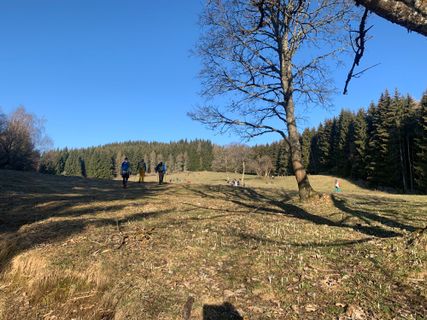 Photo de derScheife le long du parcours