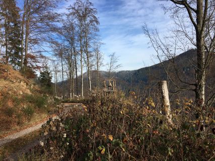 Photo de Ralf Umminger le long du parcours