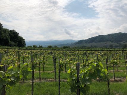 Fotografie z Omer Sharon na trase