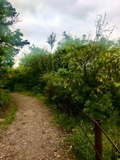 Photo de Kellner Heidi le long du parcours