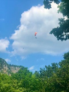 Photo de Kellner Heidi le long du parcours