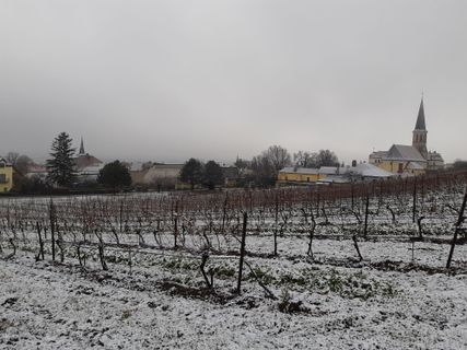 Foto von mmecki entlang der Tour
