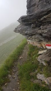 Zdjęcie z Tor Fich wzdłuż trasy