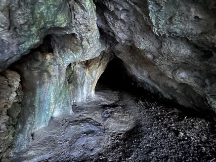 Photo de Norbert Herbig le long du parcours