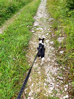 Photo de Antonietta Havasi le long du parcours
