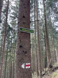 Foto von ondy Ondy entlang der Tour