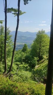 Foto von Michael entlang der Tour