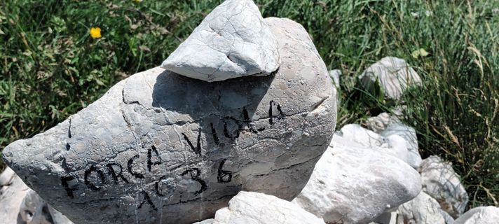 Fotografija s spletne strani Gabriele Cucchi na poti