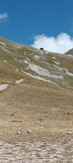 Fotografija s spletne strani Gabriele Cucchi na poti