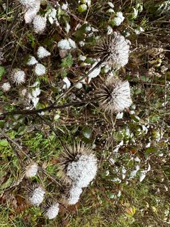 Foto von Norbert Herbig entlang der Tour