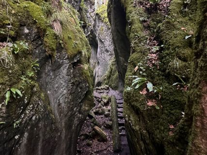Foto von Norbert Herbig entlang der Tour
