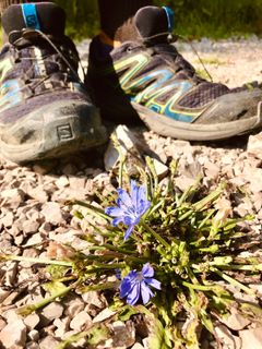 Zdjęcie z Kellner Heidi wzdłuż trasy