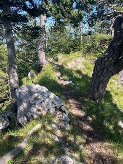 Photo de Johannes Langbauer le long du parcours