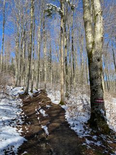 Foto de Mario Klauser a lo largo del recorrido