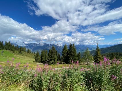 Photo de szymonek70 le long du parcours