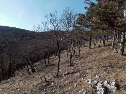 Fotografia z Ferenc Kiss na trase