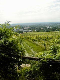 Foto von Kellner Heidi entlang der Tour