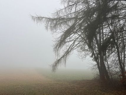 Foto von Norbert Herbig entlang der Tour