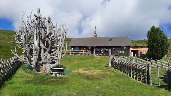 Foto von Othmar Engelmann entlang der Tour