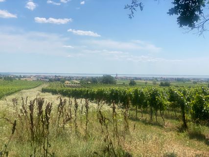 Photo de Manfred Tschelisnig le long du parcours