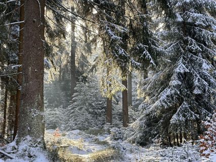 Foto von Norbert Herbig entlang der Tour