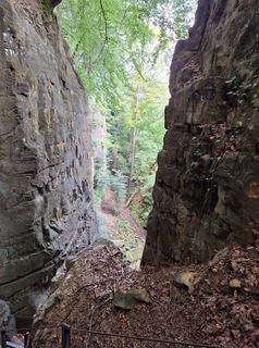 Zdjęcie z Jaap Rozeboom wzdłuż trasy