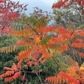 Photo de Norbert Herbig le long du parcours