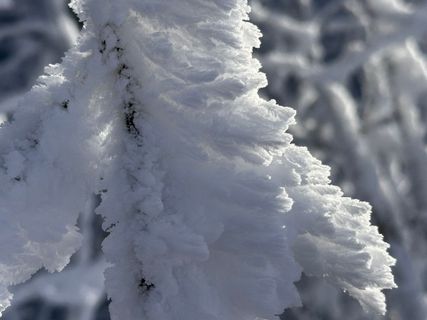 Foto von Norbert Herbig entlang der Tour