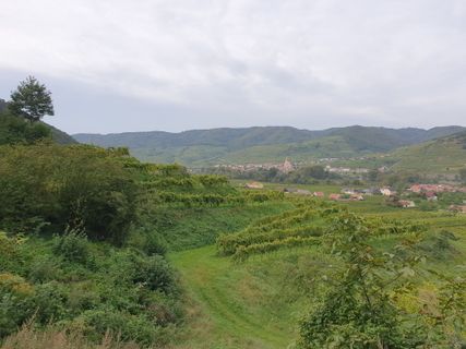 Foto von Tamara Schwarz 2 entlang der Tour