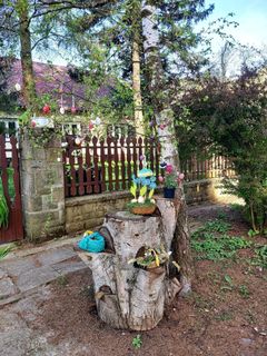 Fotografia z Antonietta Havasi na trase