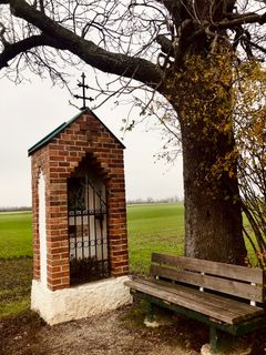 Foto de Kellner Heidi a lo largo del recorrido