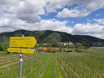 Foto von mmecki entlang der Tour