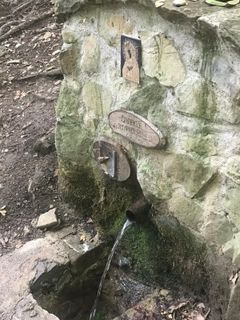 Foto von Kellner Heidi entlang der Tour