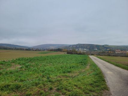 Fotografie z mmecki na trase