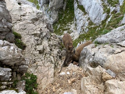 Foto de Fabio Infanti a lo largo del recorrido